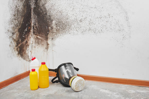 Best Emergency Mold Remediation in Toppenish, WA