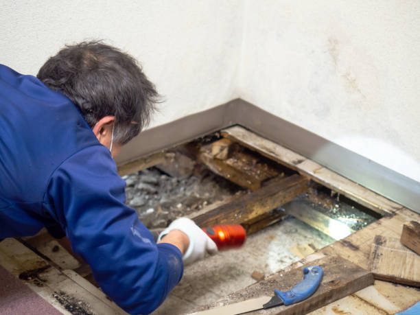 Best HVAC Mold Remediation in Toppenish, WA