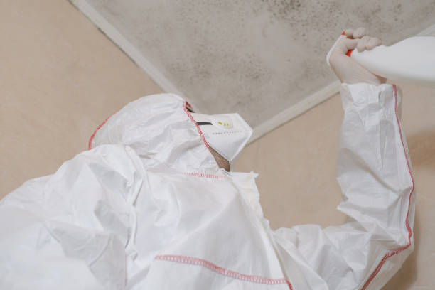 Best Black Mold Remediation in Toppenish, WA