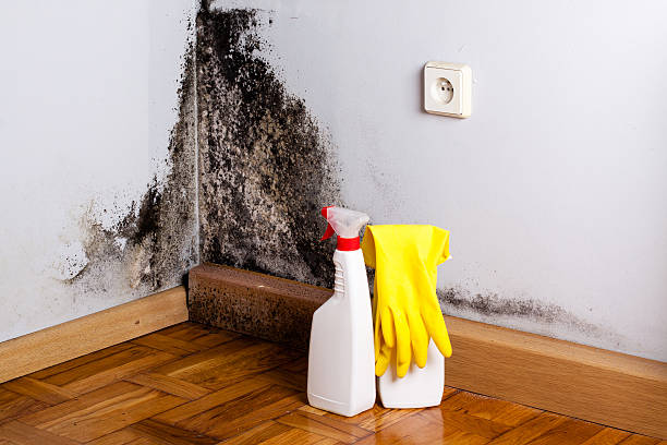 Best Mold Testing and Inspection Services in Toppenish, WA